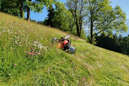 Aebi | CC 110 / CC 36